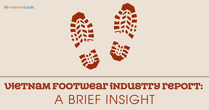 Vietnam footwear industry report: a brief insight